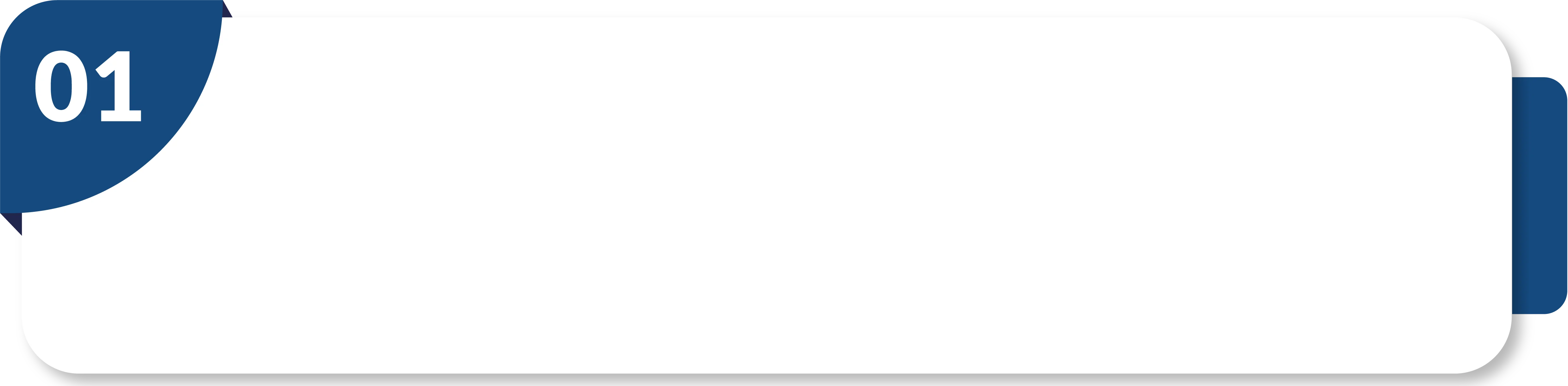 Descripción