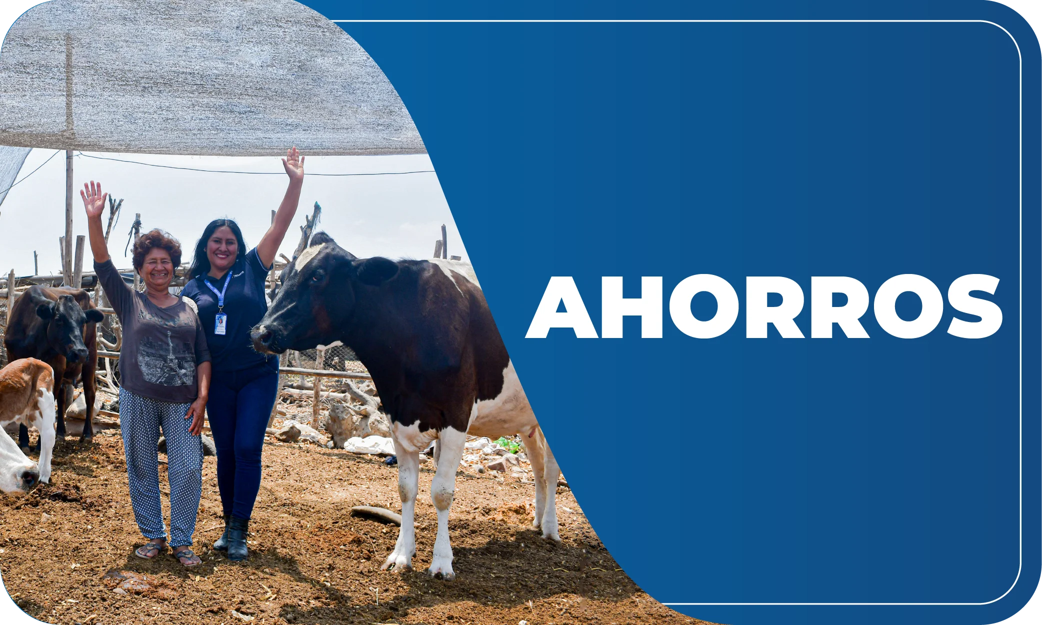 ahorros