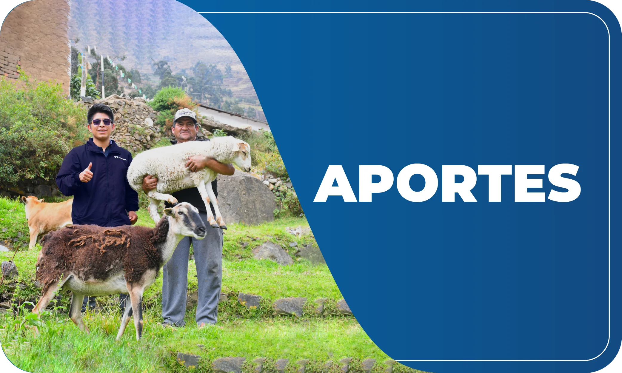 aportes